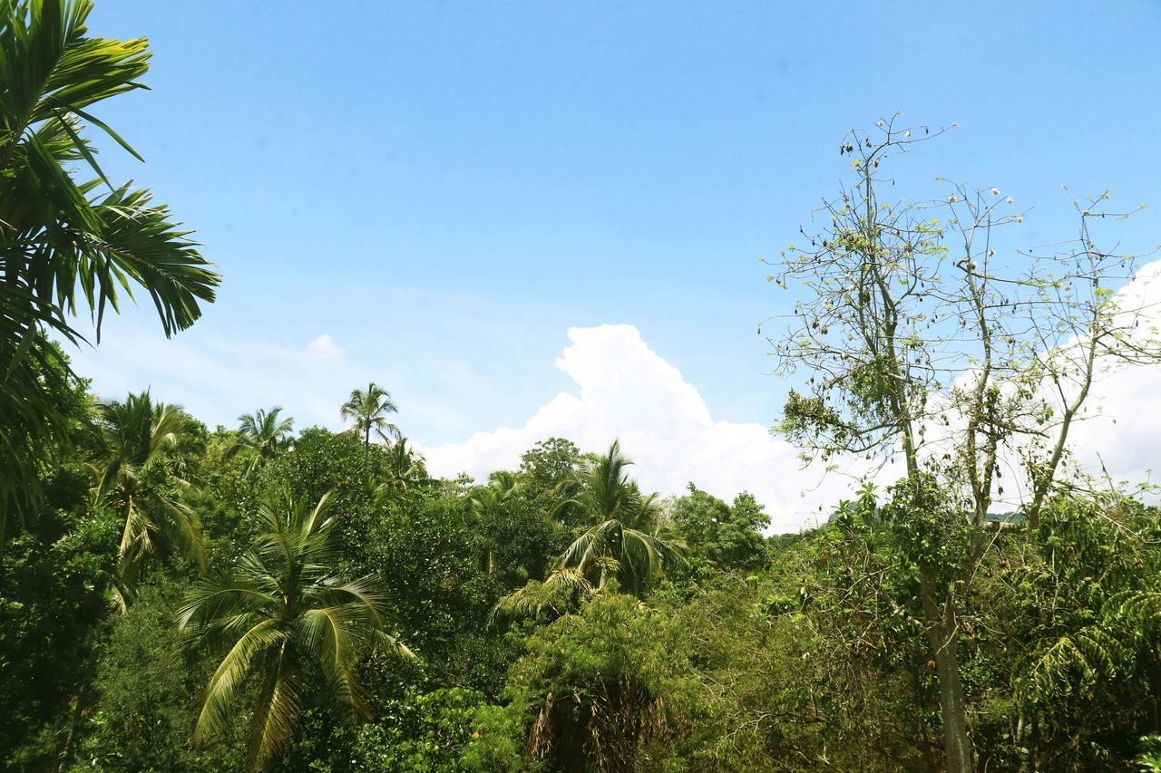 Villa Royce Kandy Ngoại thất bức ảnh