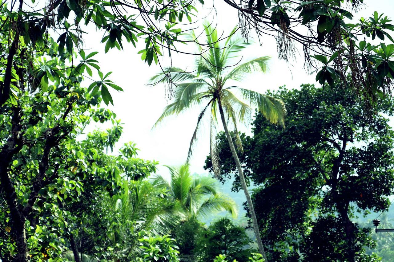 Villa Royce Kandy Ngoại thất bức ảnh