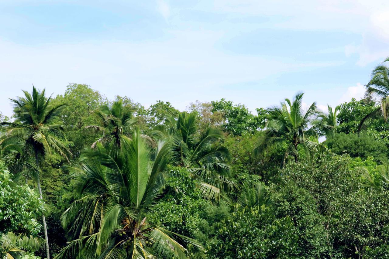 Villa Royce Kandy Ngoại thất bức ảnh