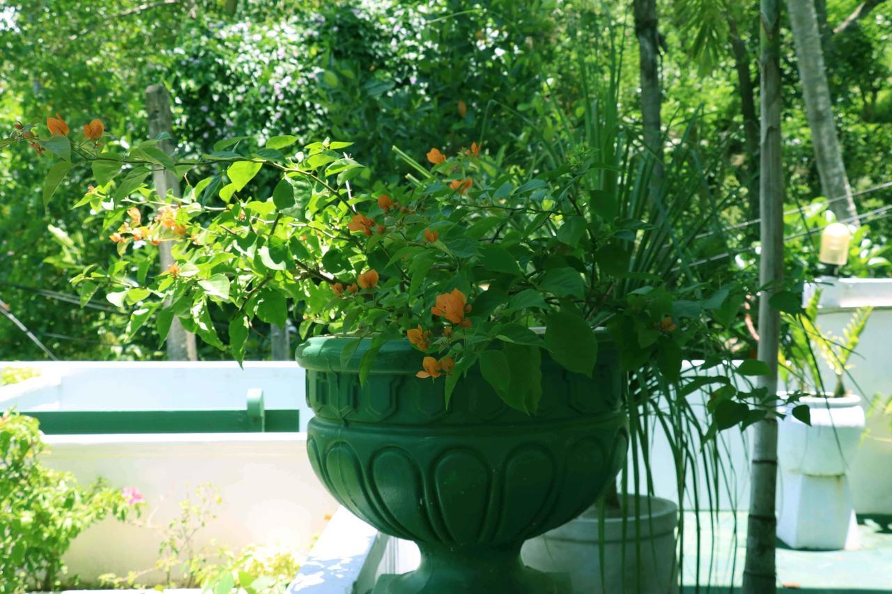 Villa Royce Kandy Ngoại thất bức ảnh